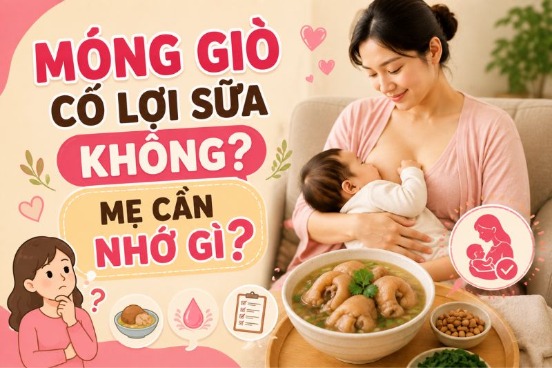 móng giò có lợi sữa không, những gì mẹ cần nhớ